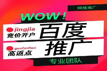 百度推广运营案例精选：揭秘成功之道